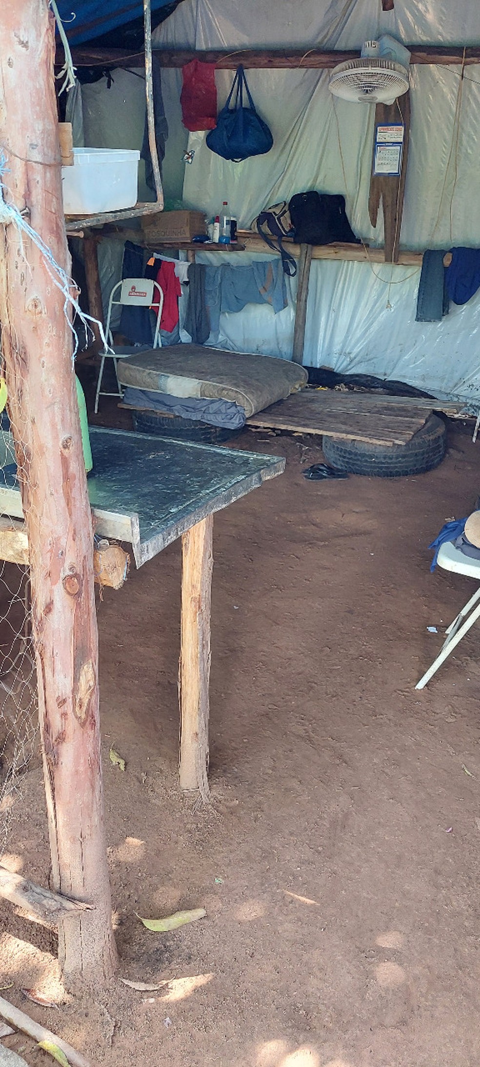 Situação mais grave foi encontrada nos alojamentos do quatro trabalhadores resgatados de condições análogas à escravidão em Alfredo Marcondes (SP) — Foto: Ministério Público do Trabalho