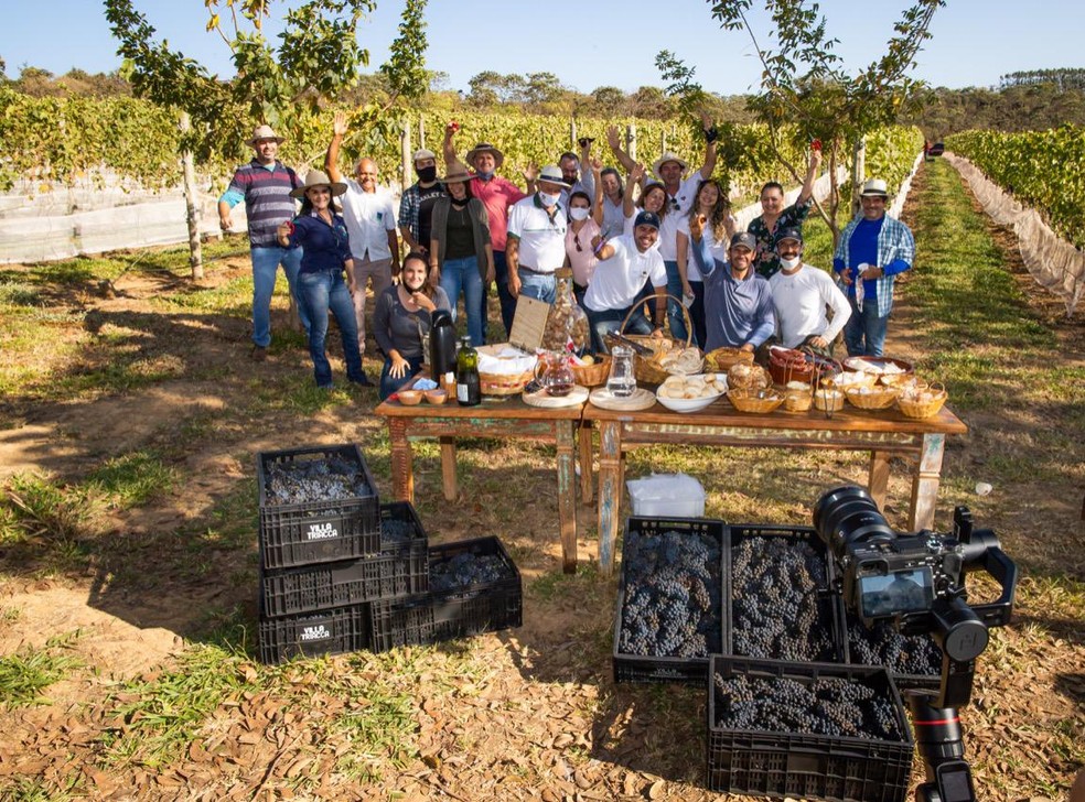Grupo da Vinícola Brasília, na colheita 2020 da Villa Triacca — Foto: Ronaldo Triacca/Arquivo Pessoal
