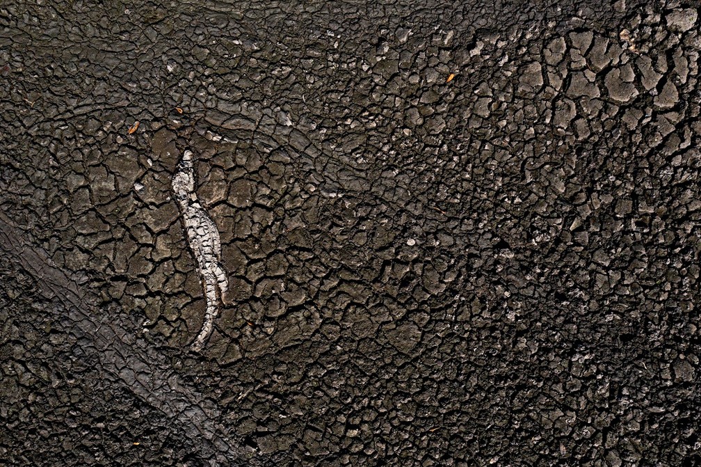 Tanque de água seco com jacaré morto após grande seca em agosto de 2021 — Foto: Ricardo Martins