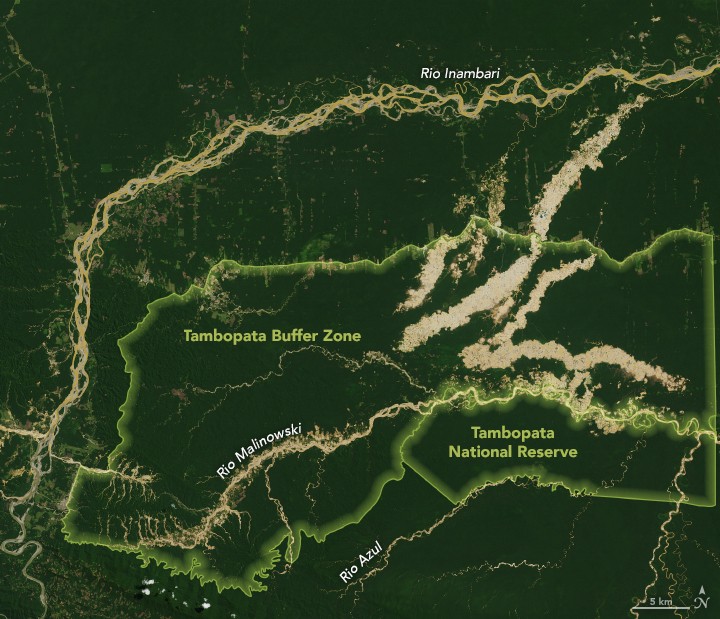 Mapa mostra zonas-tampão afetadas por desmatamento: entre elas, estão a Reserva Nacional Tambopata e algumas terras pertencentes à comunidade nativa Kotsimba.  Há desmatamento ainda ao longo do rio Malinowski, onde operações de mineração ocorrem (Foto: NASA)