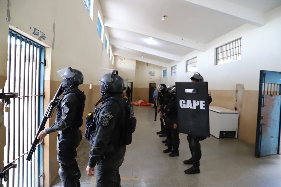Policiais revistaram penitenciária de Porto Velho em busca de armas e drogas — Foto: Divulgação