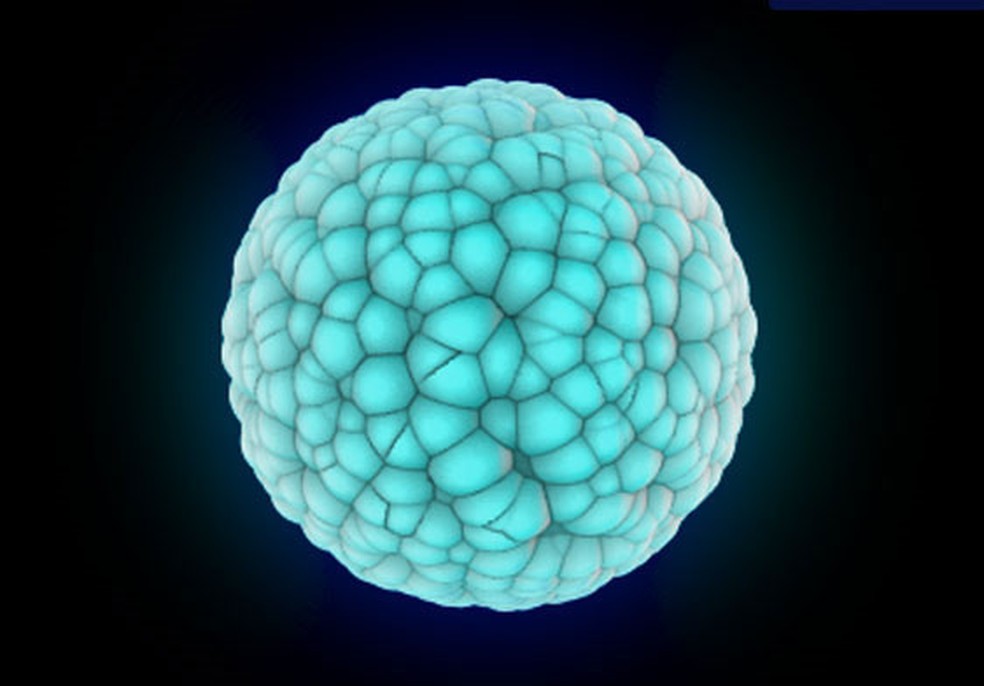 hpv virus about