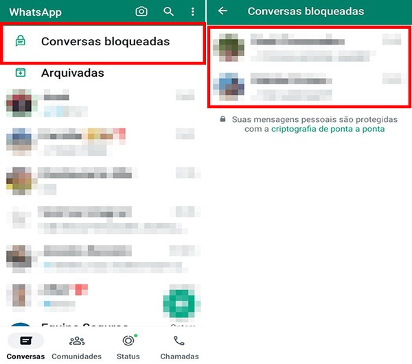 WhatsApp deve estar atualizado na loja de aplicativos para receber função  — Foto: Reprodução/Flávia Fernandes