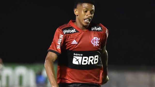 André em Flamengo x Portuguesa