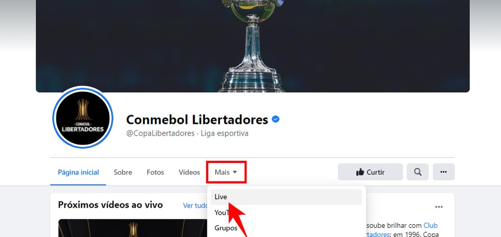 Universitario X Palmeiras Ao Vivo Onde Assistir Ao Jogo Da Libertadores Streaming Techtudo