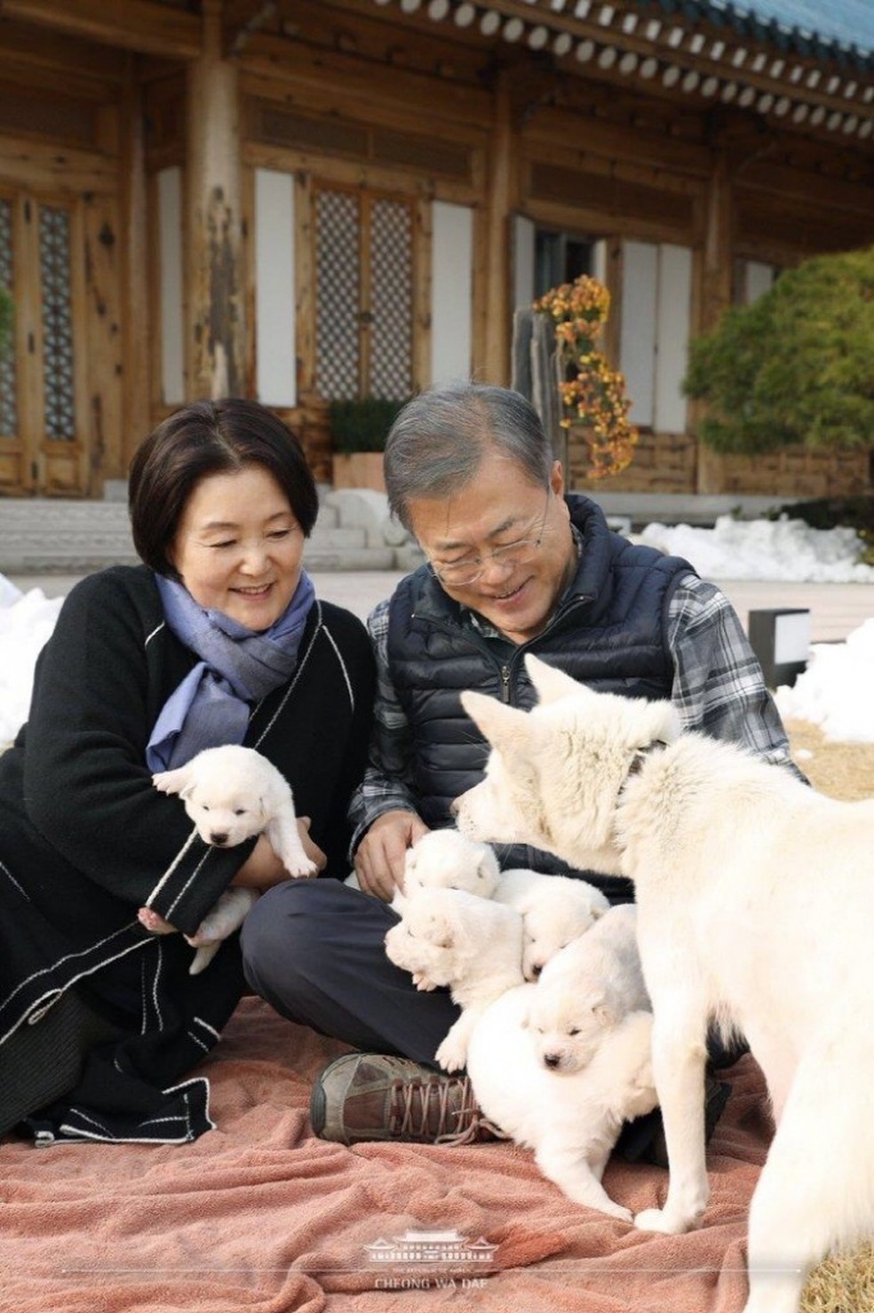 Presidente sul-coreano Moon Jae-in e primeira-dama Kim Jeong-sook brincam com cachorros em foto de 2018 — Foto: Cortesia/Presidência da Coreia do Sul
