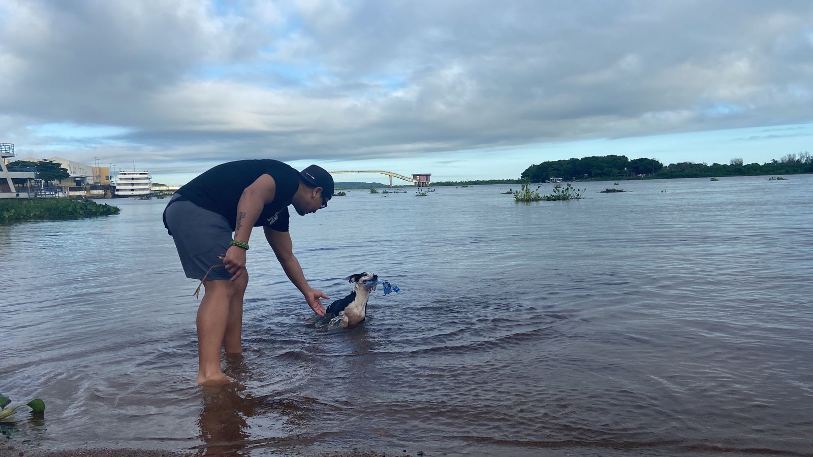 Pantanal é cenário da diversão diária de Belinha: a cachorrinha que saiu da capital e agora nada no rio Paraguai