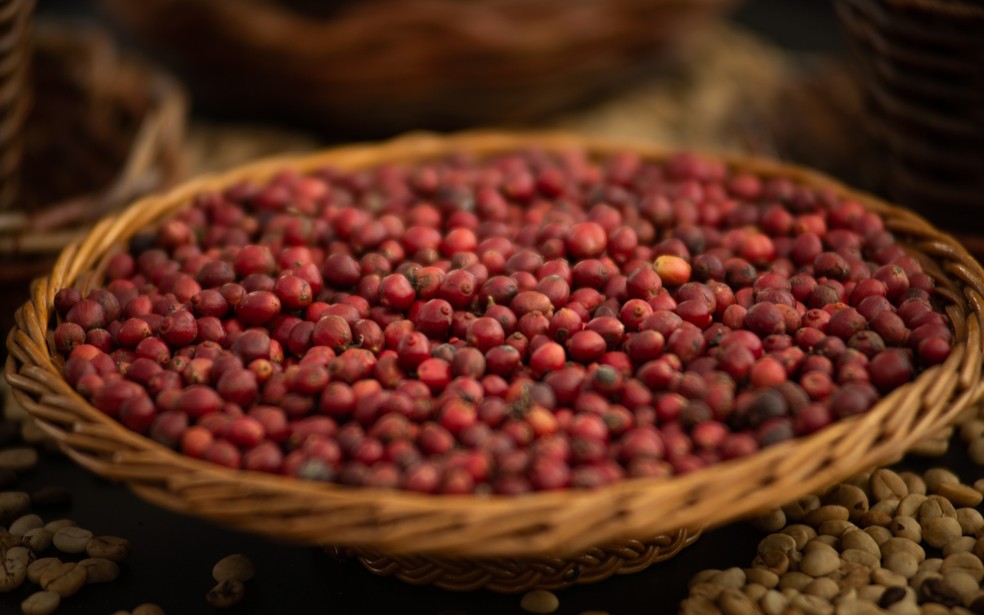 Produção de café deve ajudar no resultado positivo da agropecuária em 2020 — Foto: Érico Andrade/G1