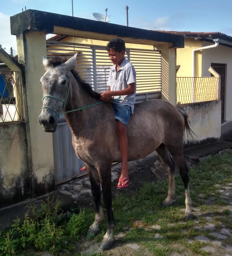 Foto de a chorando com cavalo sorrindo é a mais viralizada