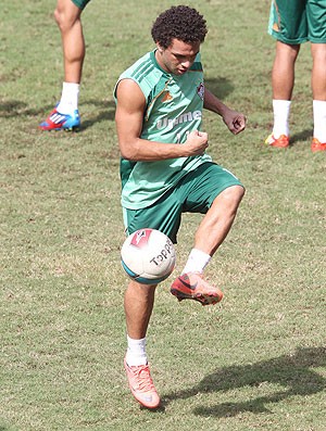 Wellington Nem, Fluminense (Foto: Ivo Gonzalez / Agência O Globo)