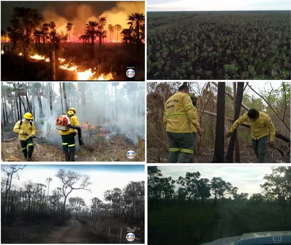Serra do Amolar, no Pantanal, começa a se recuperar após recorde de incêndios no bioma em 2020 — Foto: Reprodução/TV Globo