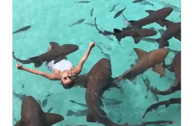 Nas Bahamas, ela nadou com tubarões (Foto: Reprodução)