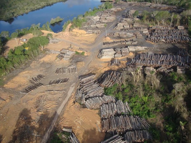 Empresa foi punida por causa da comercialização indevida de créditos e dos danos ambientais às margens do rio (Foto: Divulgação/ Ascom Ibama)