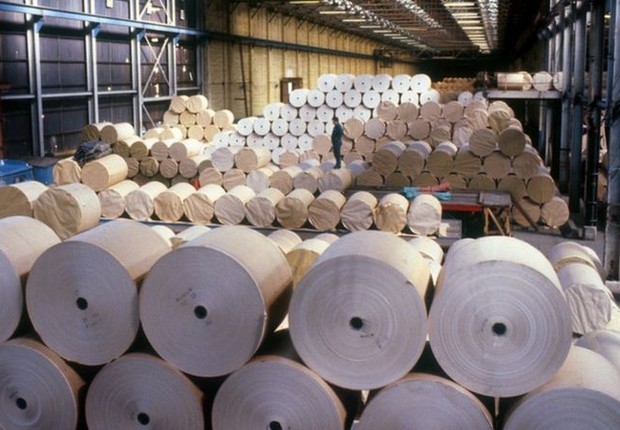 BBC: Fabricantes de papel higiênico estão em alerta após encarecimento da matéria-prima no Brasil (Foto: VIA BBC)