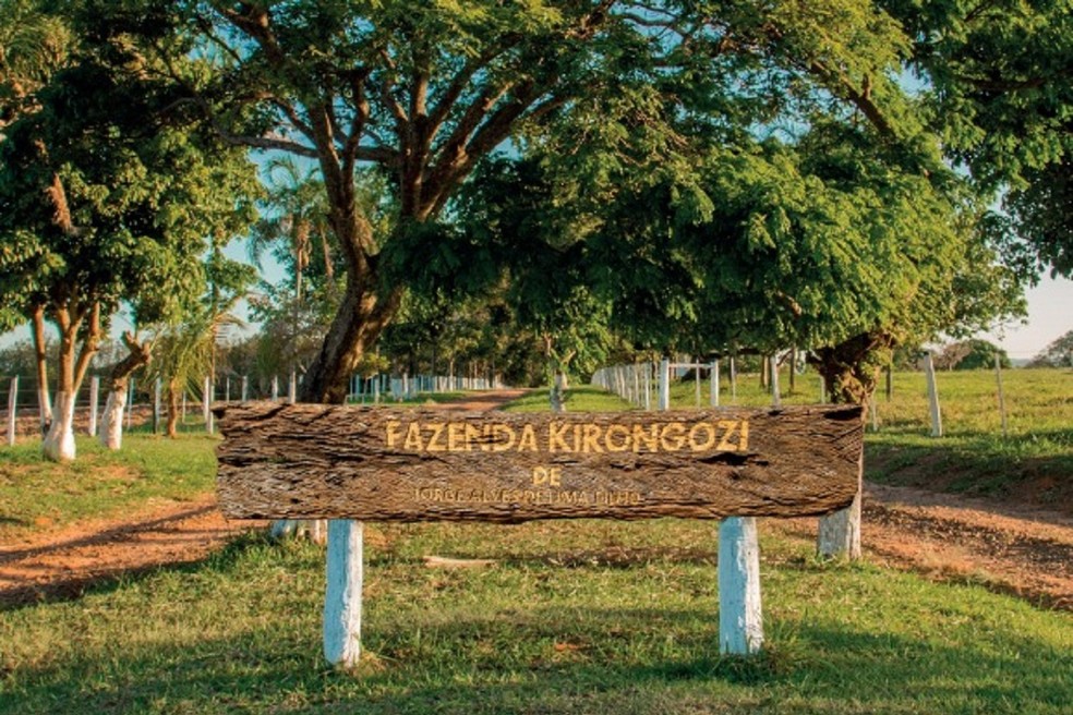 Fazenda de Jorge Alves de Lima Filho, ex-caçador, em Álvaro de Carvalho — Foto: Fazenda Kirongozi/Divulgação