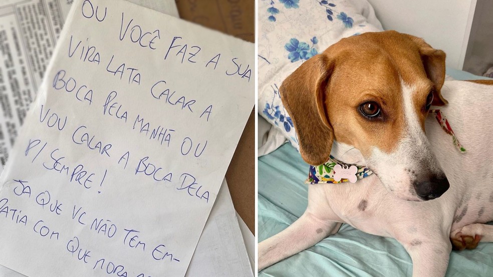 Carta de ameaça à cadela Mirra causou choque na tutora — Foto: Reprodução