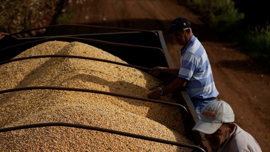 Preços internos de soja e milho acumulam queda em janeiro, diz Cepea