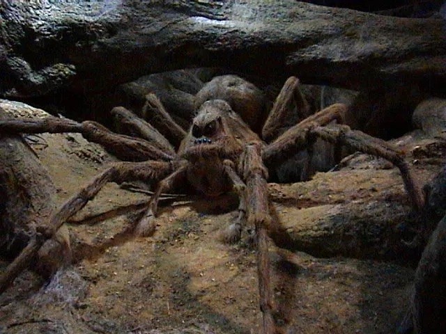 Aragogue, a aranha gigante que vivia na Floresta Proibida em Harry Potter (Foto: Warner Bros / Reprodução)