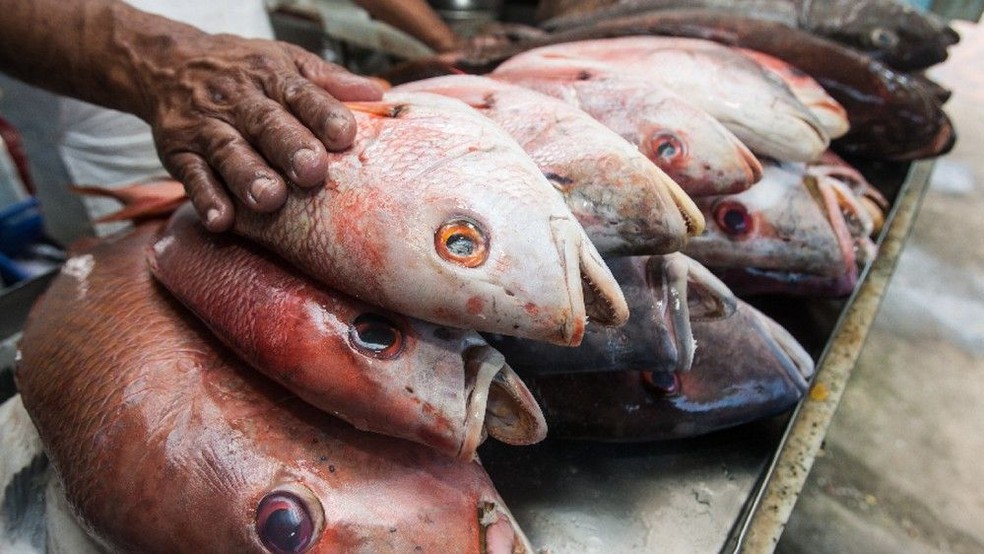 A Doença de Haff é transmitida por meio de toxinas presentes em peixes e crustáceos mal acondicionados. — Foto: Fabiane de Paula/SVM