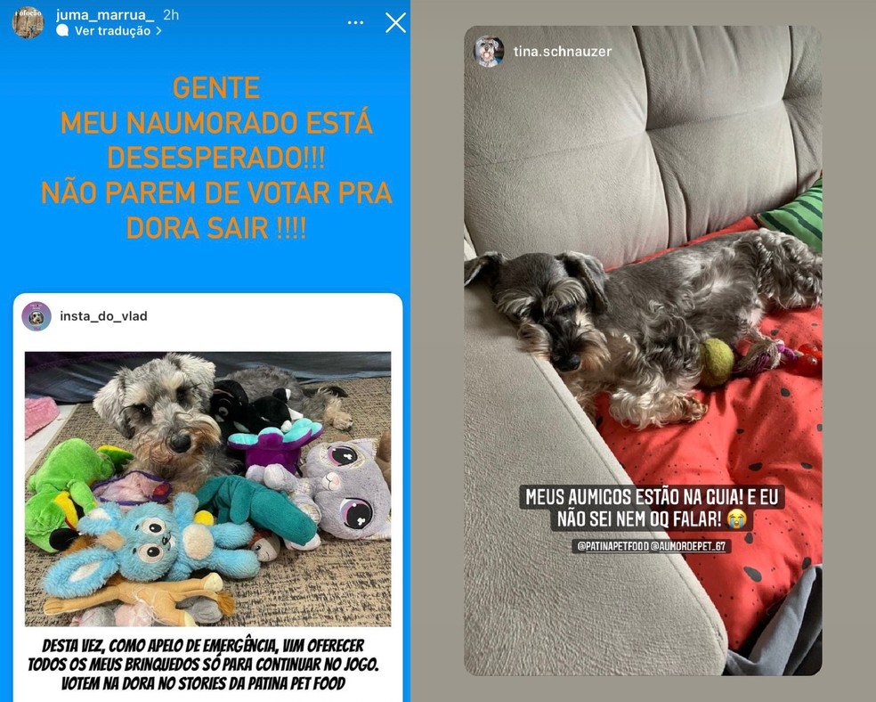 Nas próprias contas, "cães" fazem torcida e comentam sobre o jogo. — Foto: Reprodução/RedesSociais