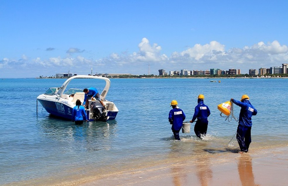 Ima Inicia Instalacao De 40 Novas Boias De Isolamento Na Piscina Do Amor Alagoas G1