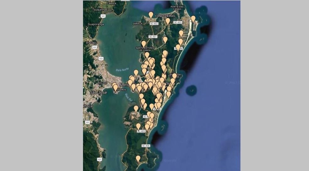 Há casos de leishmaniose canina em vários locais de Florianópolis (Foto: CCZ/Divulgação)