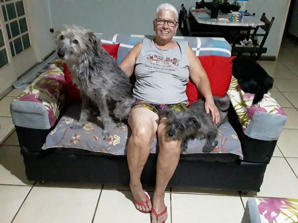 Maria Aparecida Pereira Metelo mantém nove cães e três gatos na casa onde vive em Lagoa Santa, Região Metropolitana de Belo Horizonte — Foto: Arquivo Pessoal