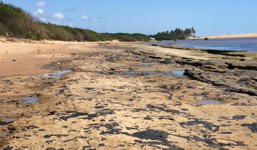 Oleo Em Praias Da Ba Provoca Desequilibrio Ecologico E Ibio Diz Que Reversao Deve Durar Uma Decada Situacao Muito Grave Bahia G1
