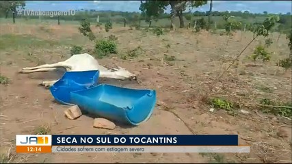Diretor de meio ambiente em Gurupi fala sobre a seca na região sul