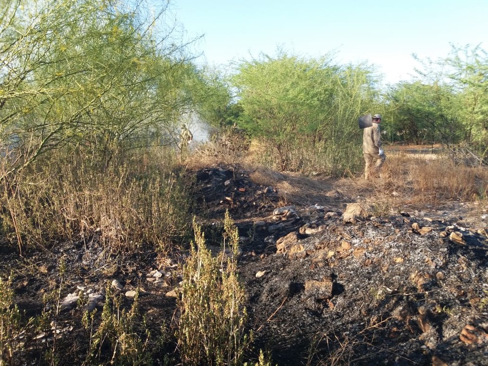 Fogo atinge vegetaÃ§Ã£o em Ã¡rea de proteÃ§Ã£o ambiental de Iguatu, no CearÃ¡ â€” Foto: Wandenberg BelÃ©m
