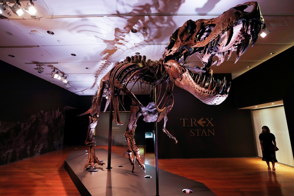 Um dos mais completos esqueletos de T-rex vai a leilão e pode ultrapassar os US$ 8 milhões — Foto: Mike Segar/Reuters