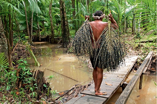 Que inovações surgem da Amazônia e como gerar prosperidade com a floresta viva? (Foto: Pulsar)