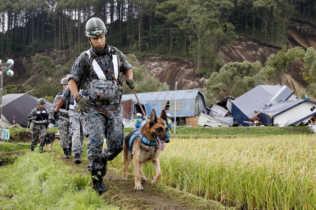Membros da Defesa do Japão procuram nesta sexta-feira (7) com a ajuda de cães por sobreviventes em área destruída por deslizamentos de terra após terremoto na ilha Hokkaido (Foto: Kyodo/via Reuters)