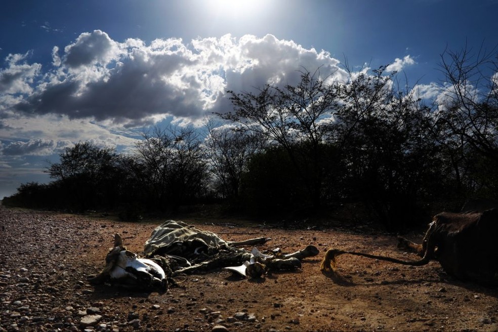 Segundo pesquisadores da UFRN, a seca, apesar de sempre ser relacionada como o motivo central dessa emigraÃ§Ã£o, nÃ£o aparece como razÃ£o preponderante â Foto: CÃ­cero Oliveira/UFRN