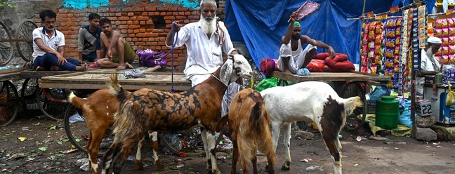 Vendedor de gado espera clientes na beira da estrada para vender suas cabras antes do festival muçulmano de Eid al-Adha, nos bairros antigos de Nova Délhi, Índia  — Foto: MONEY SHARMA / AFP