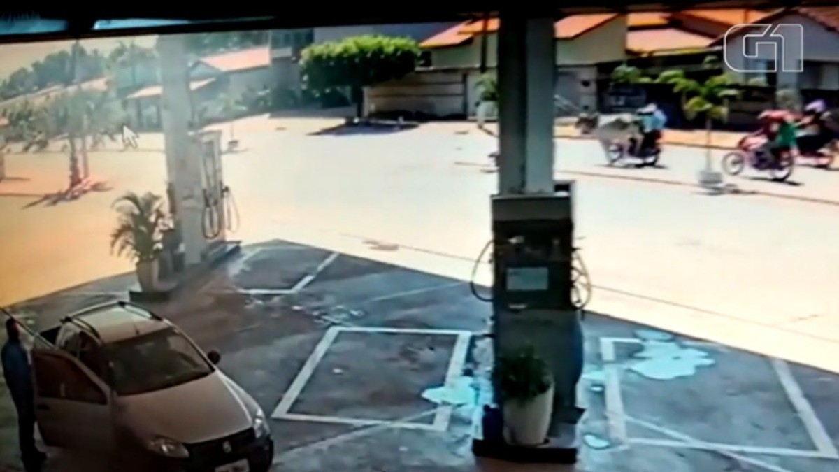 Boi é capturado por motociclistas em avenida de Santa Tereza de Goiás após fugir de leilão; vídeo