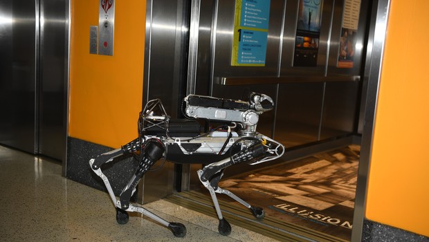 robô SpotMini (Foto: Getty Images)