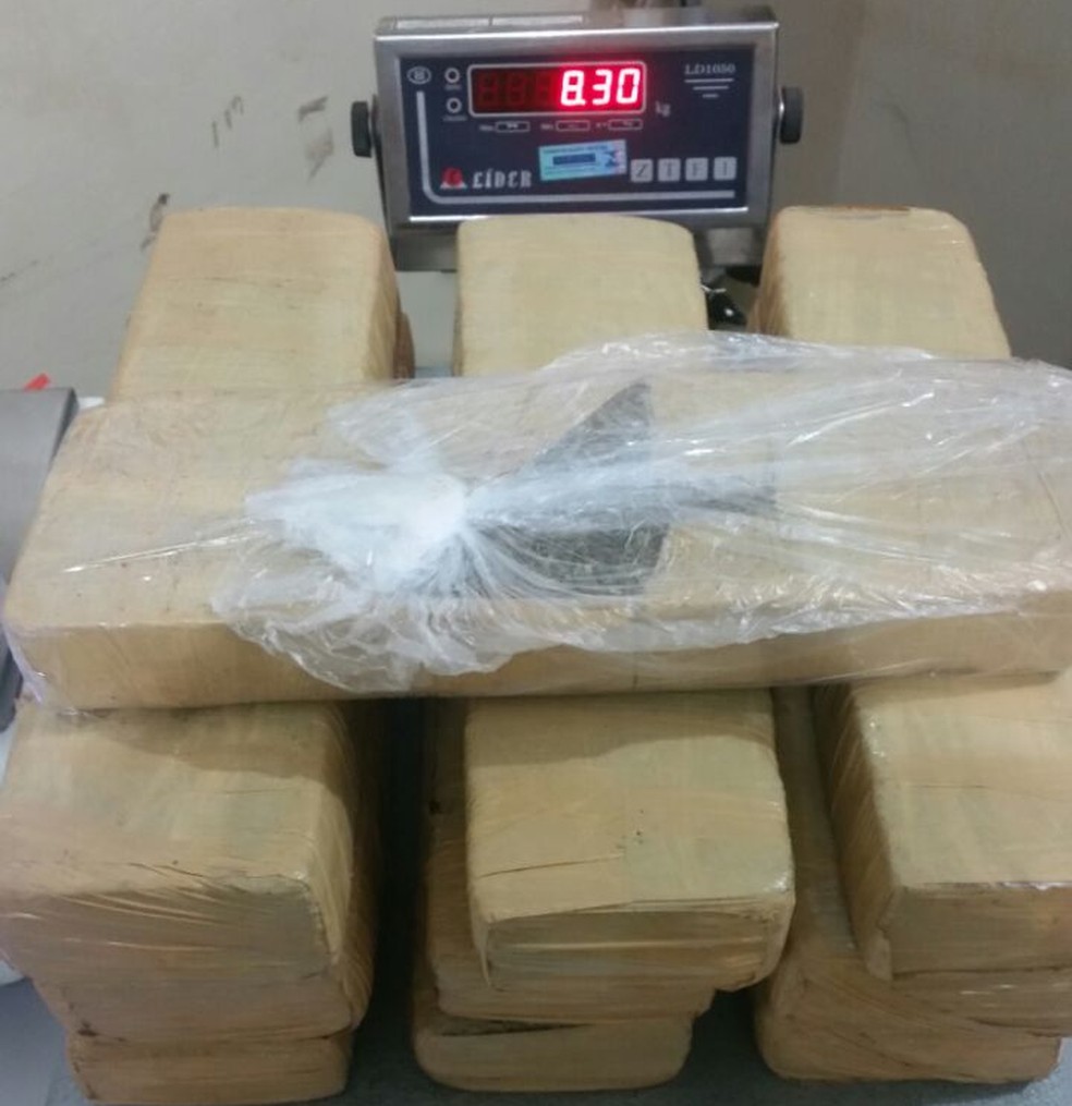 Droga pesou pouco mais de oito quilos (Foto: Polícia Civil/Cedida)