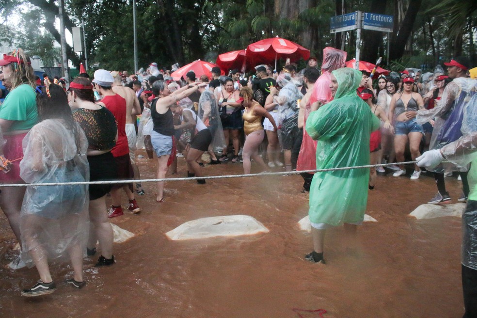 Público curte carnaval com temporal e lamaçal em SP  — Foto: Agência estado 