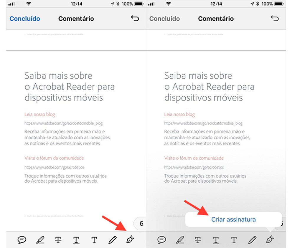 Opção para criar e inserir uma assinatura no Adobe Reader pelo celular (Foto: Reprodução/Marvin Costa)