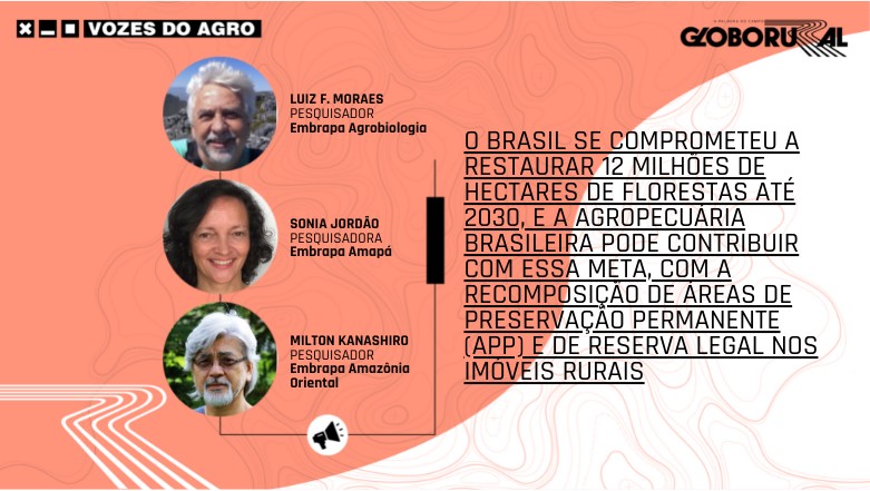 vozes agro embrapa (Foto: Globo Rural)