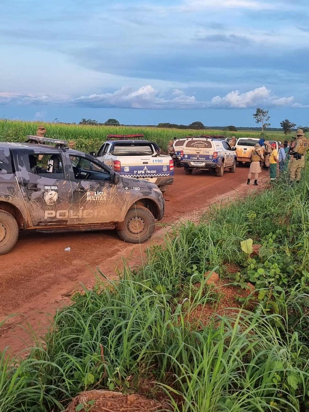 Força-tarefa durante buscas por assaltantes no Tocantins — Foto: PM/Divulgação