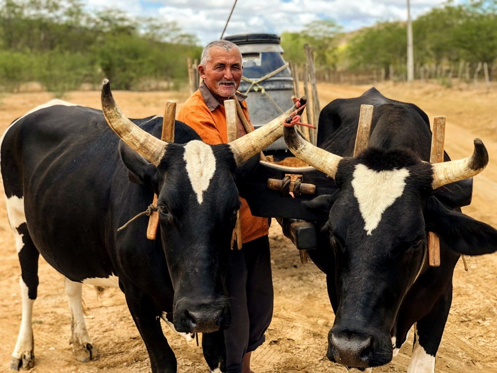 Salmônico Pinheiro atravessa a zona rural três vezes por dia para pegar água salgada no açude de Jaramataia — Foto: Yasmin Pontual/TV Gazeta