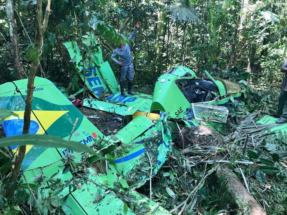 Avião ficou destruído após a queda — Foto: Reprodução/Ranie Pereira Sousa