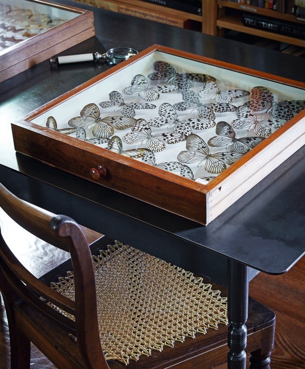 Detalhe. A escrivaninha exibe a ampla coleção de borboletas. No espaço, livros e peças de cerâmica remontam a história de Babylonstoren (Foto: Greg Cox / Bureaux)
