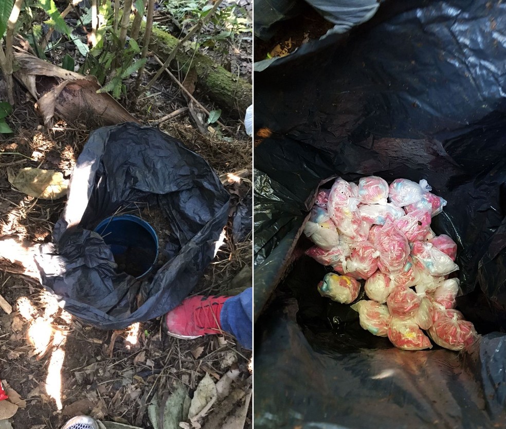 Droga e armamento foram localizados em tonéis enterrados na mata (Foto: Divulgação/Polícia Civil )