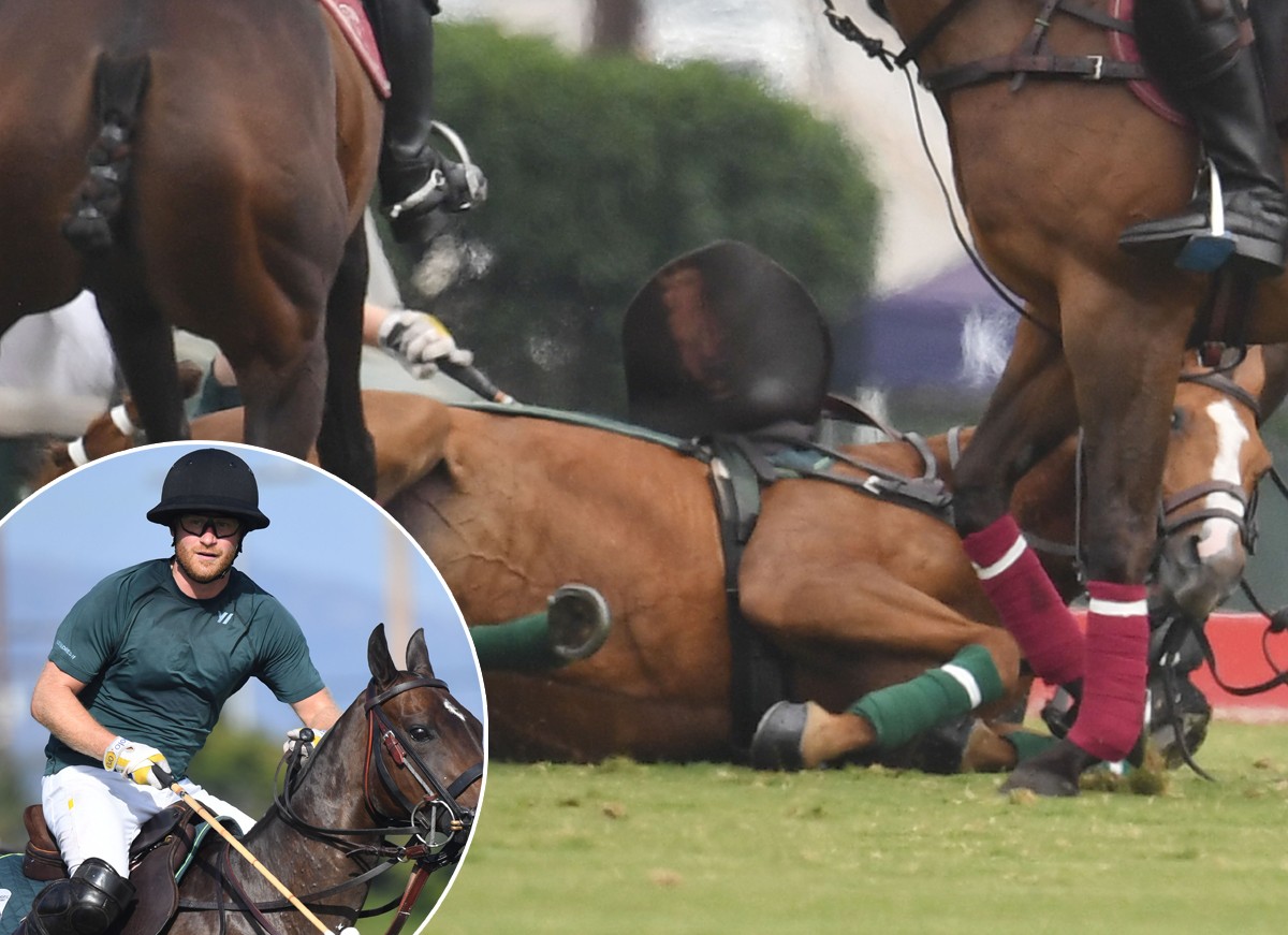 Príncipe Harry caiu do cavalo em partida de pólo (Foto: The Grosby Group)