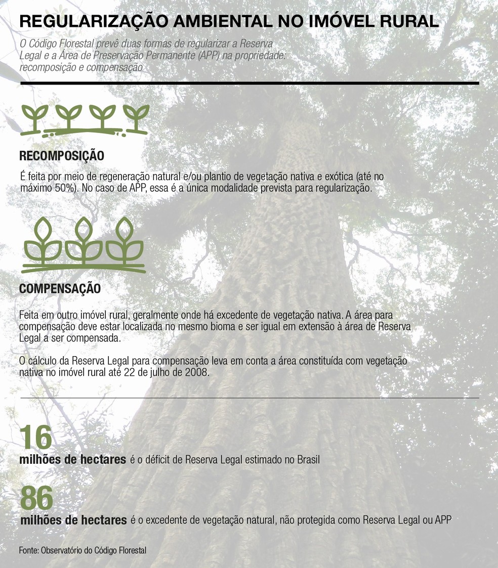  — Foto: Revista Globo Rural