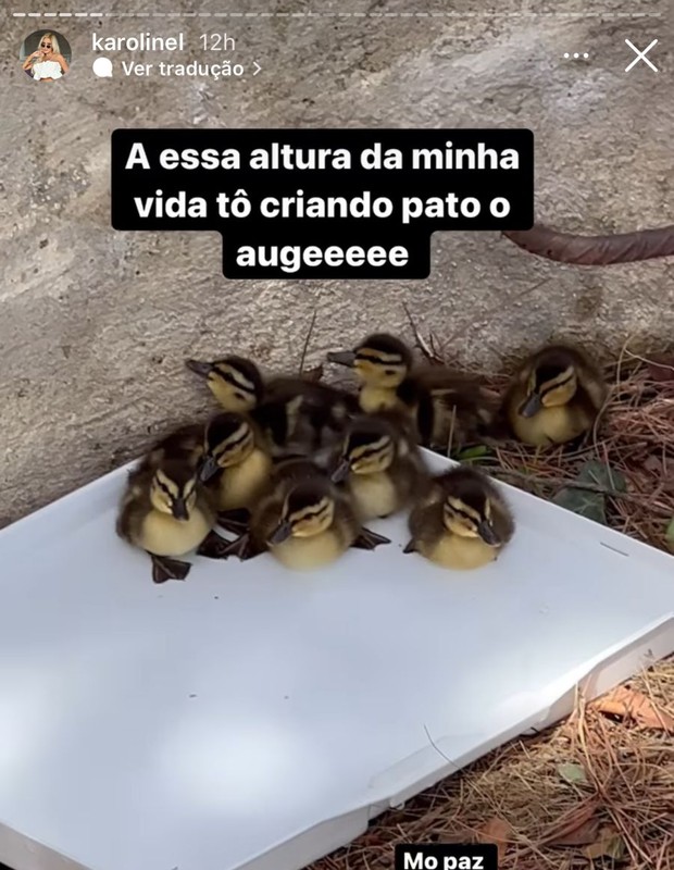 Karoline Lima e Éder Militão adotam patos (Foto: Reprodução/Instagram)