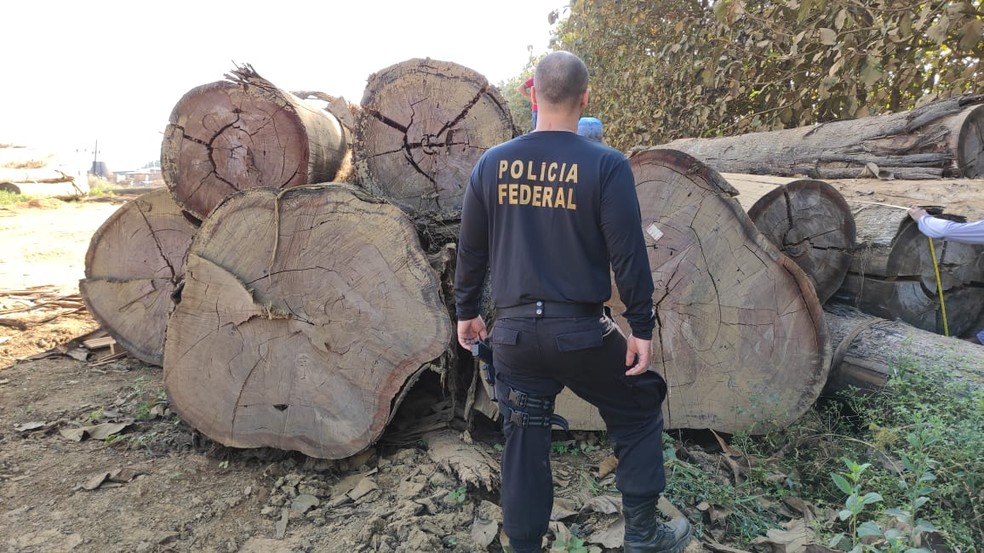 Operação Floresta S.A II cumpre mandados, em junho de 2021 — Foto: PF/Divulgação